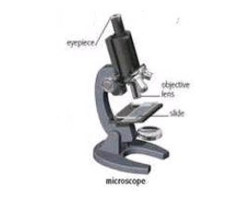 Microscope
