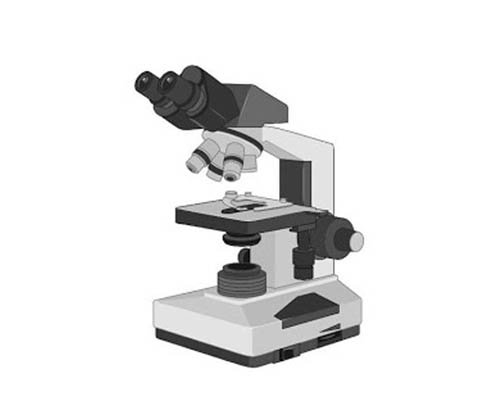 Microscope