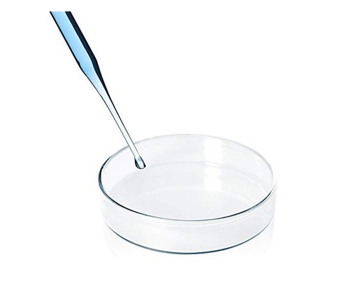 Petri Dish